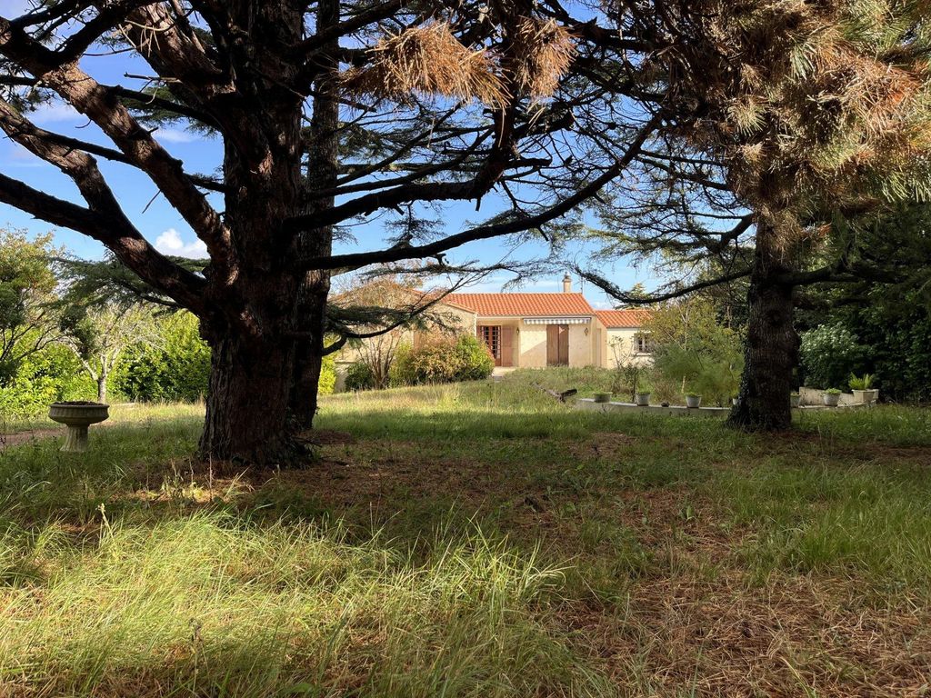 Maison De Chambres De Luxe En Vente Meschers Sur Gironde Nouvelle