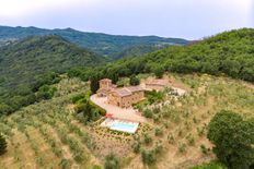 Prestigiosa Casa Indipendente in vendita Figline e Incisa Valdarno, Toscana