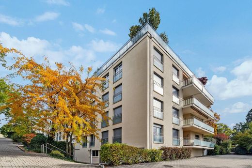 Apartment in Chêne-Bourg, Geneva
