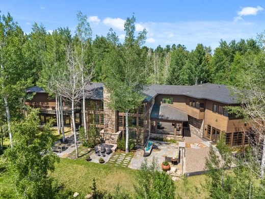 Detached House in Aspen, Pitkin County