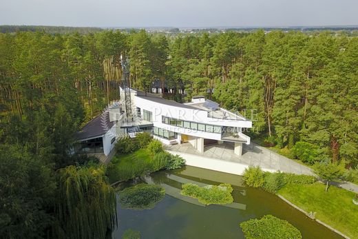 Luxury home in Berezivka, Vinnytsya Oblast