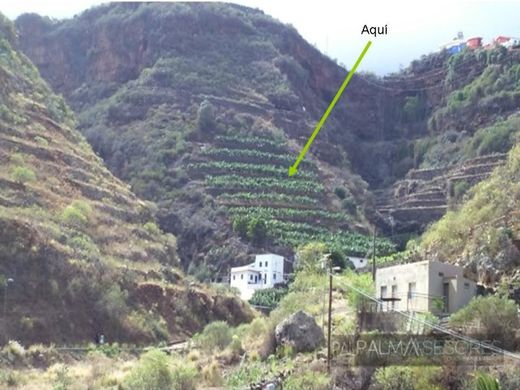 Rural or Farmhouse in Santa Cruz de La Palma, Province of Santa Cruz de Tenerife