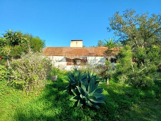 Rural or Farmhouse in Grândola, Distrito de Setúbal