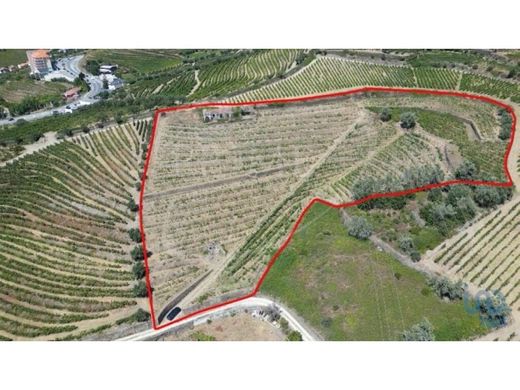Grond in Peso da Régua, Distrito de Vila Real