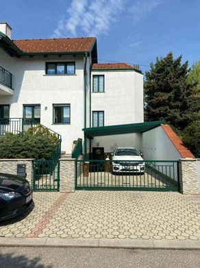 Luxury home in Tadten, Politischer Bezirk Neusiedl am See