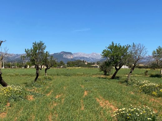 Grundstück in Consell, Balearen Inseln