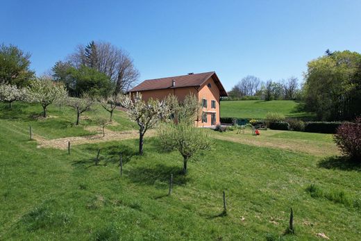 Landhaus / Bauernhof in Fillinges, Haute-Savoie