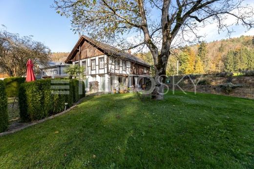 Luxus Haus Zu Verkaufen Frauenfeld Schweiz Luxuryestate