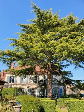 Villa - Châteauneuf-en-Thymerais, Eure-et-Loir
