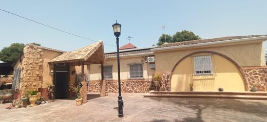Detached House in Crevillent, Alicante