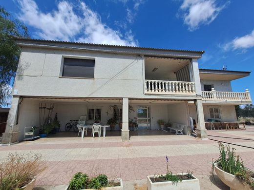Einfamilienhaus in Parque Industrial de Elche, Alicante