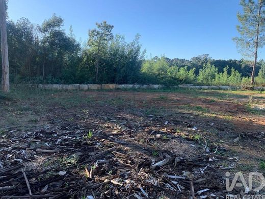 Land in Cortes, Monção