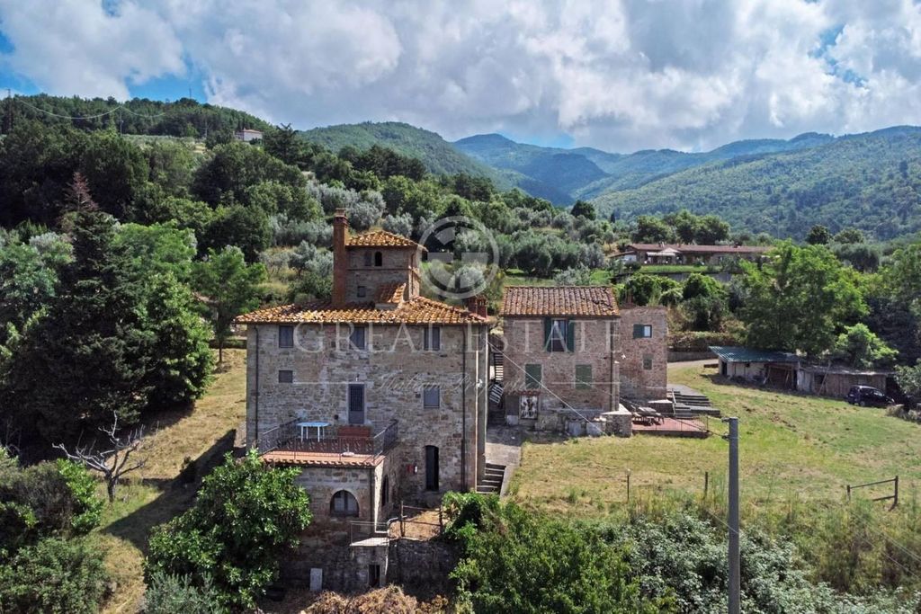 Lussuoso casale in vendita Reggello, Toscana