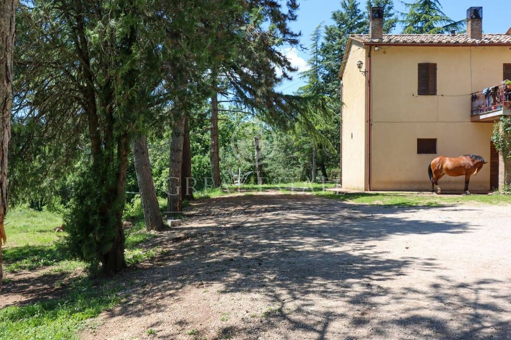 Château · Castle in Avigliano Umbro