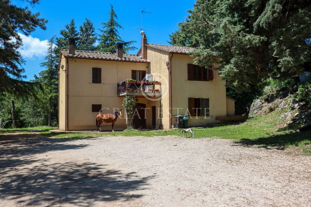 Château · Castle in Avigliano Umbro