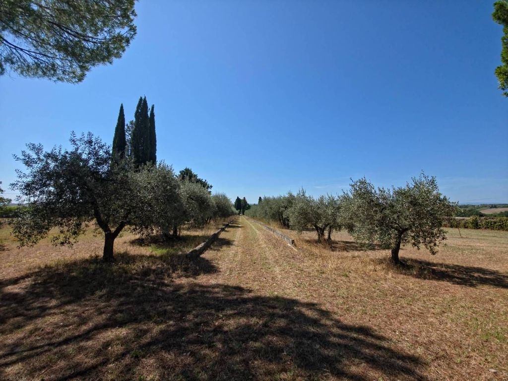 Casa – Castelnuovo Berardenga - Vista 2