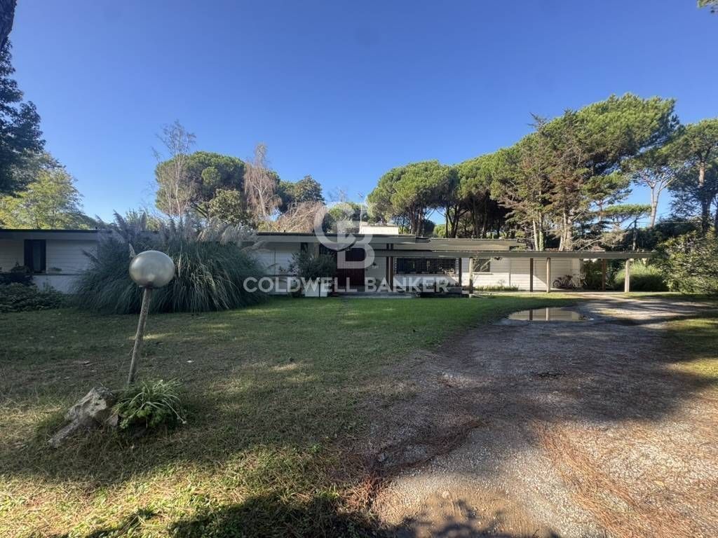 Casa – Massa - Vista 2