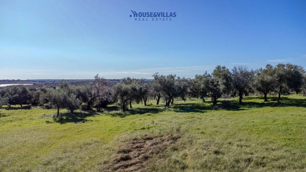 Casa – Noto, Siracusa - Vista 3