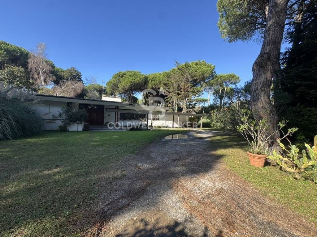 Casa – Massa - Vista 3