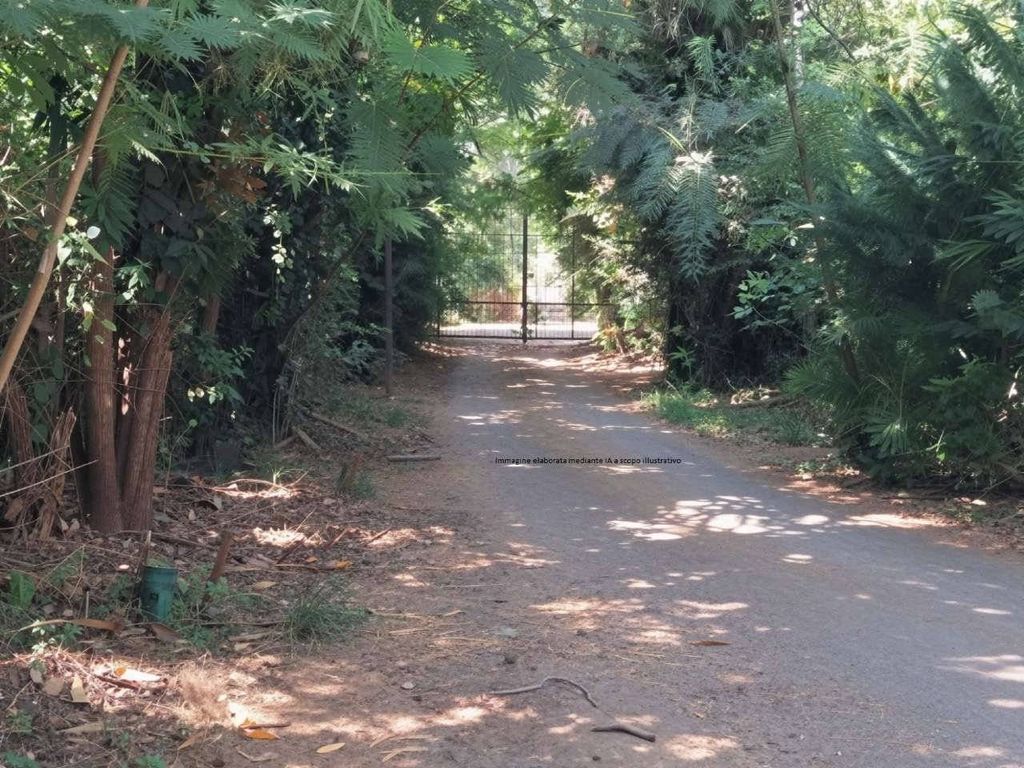 Casa – Novi Ligure - Vista 4