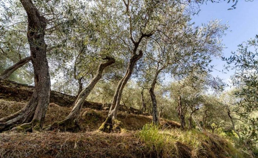 Appartamento – Sestri Levante - Vista 4
