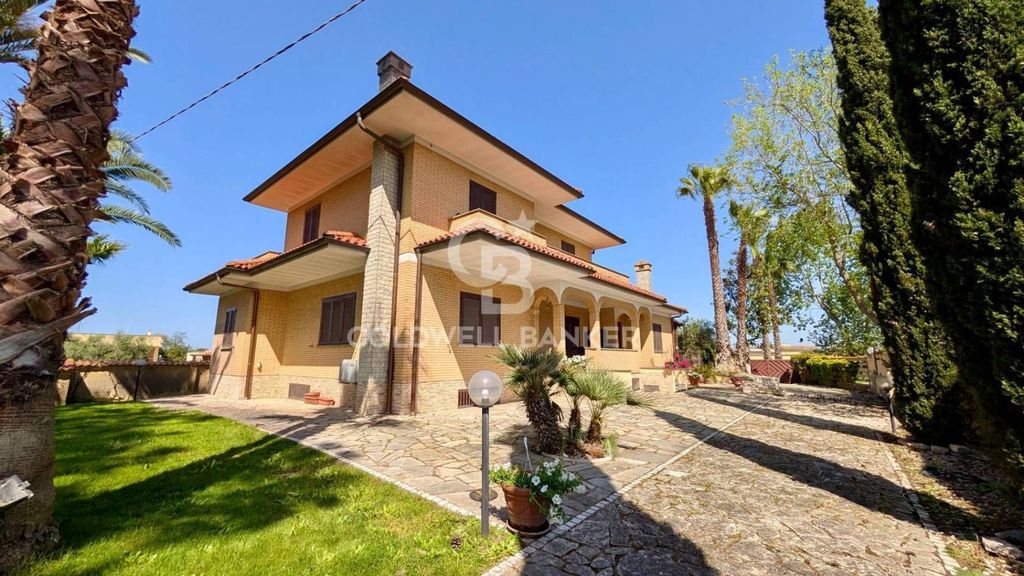 Casa – Nettuno - Vista 4