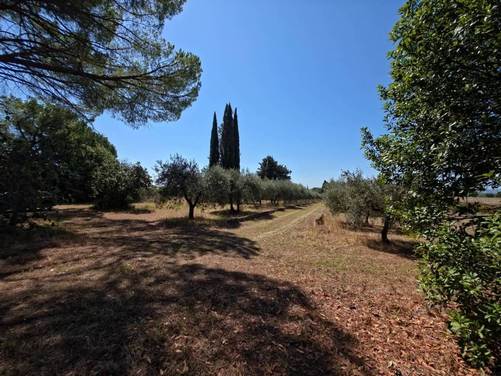 Casa – Castelnuovo Berardenga - Vista 4