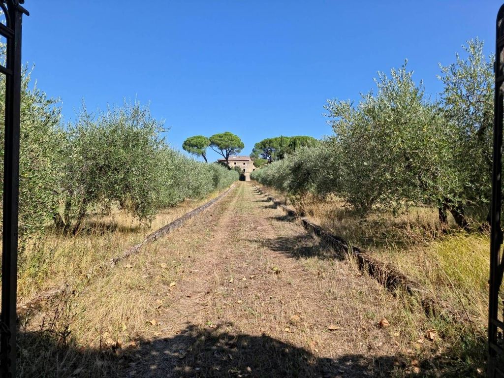 Casa – Castelnuovo Berardenga - Vista 5