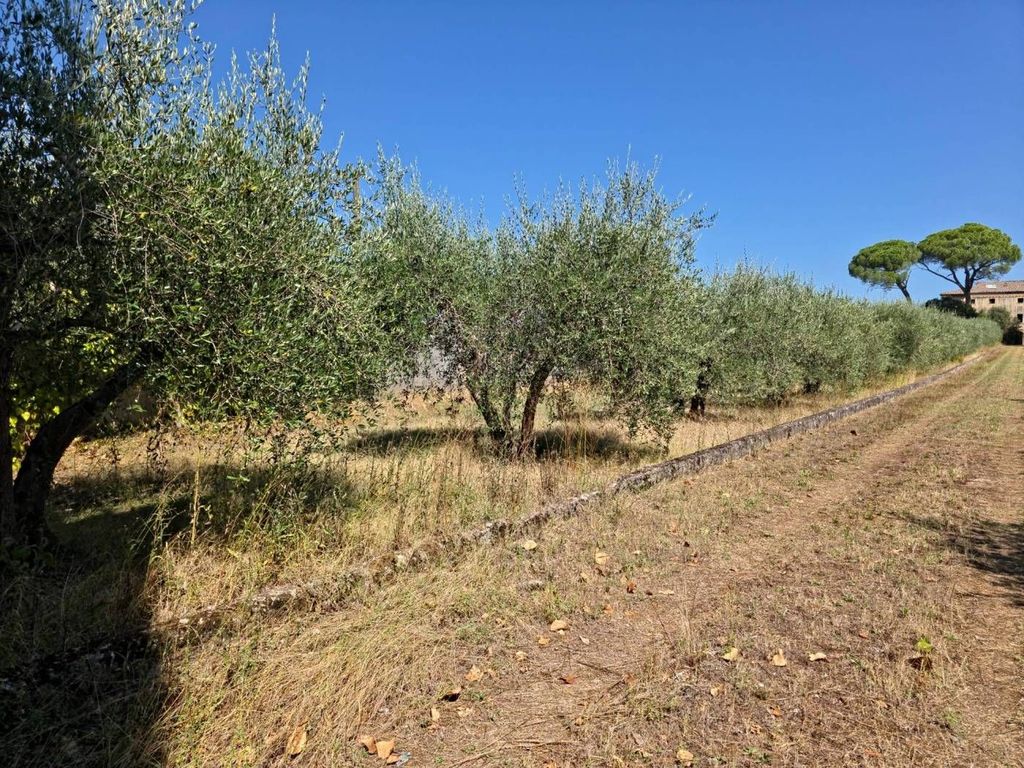 Casa – Castelnuovo Berardenga - Altro