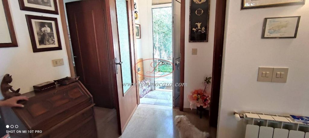 Casa – Cervo - Altro