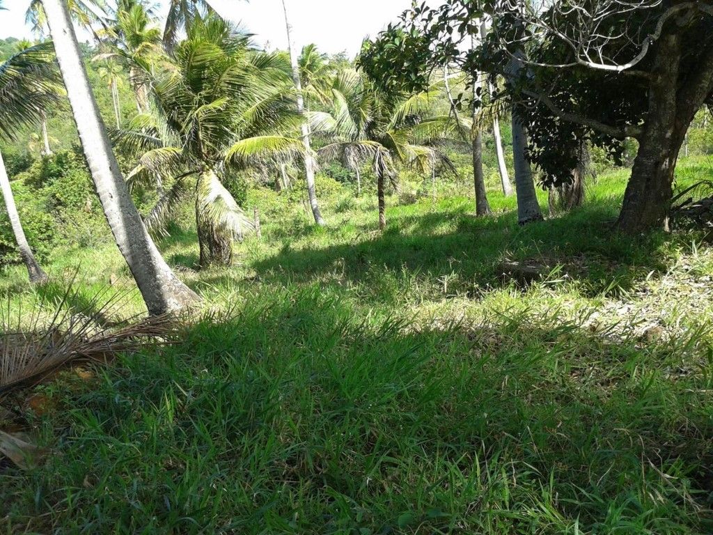 Terreno à venda - Monte Gordo, Estado da Bahia