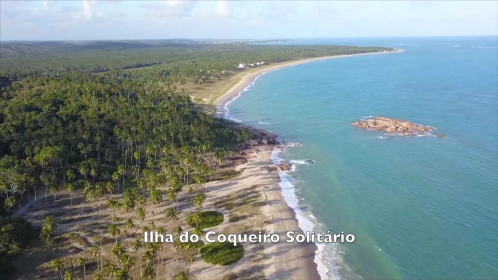 Terreno à venda - Praia Porto Nassau, São José da Coroa Grande, Pernambuco