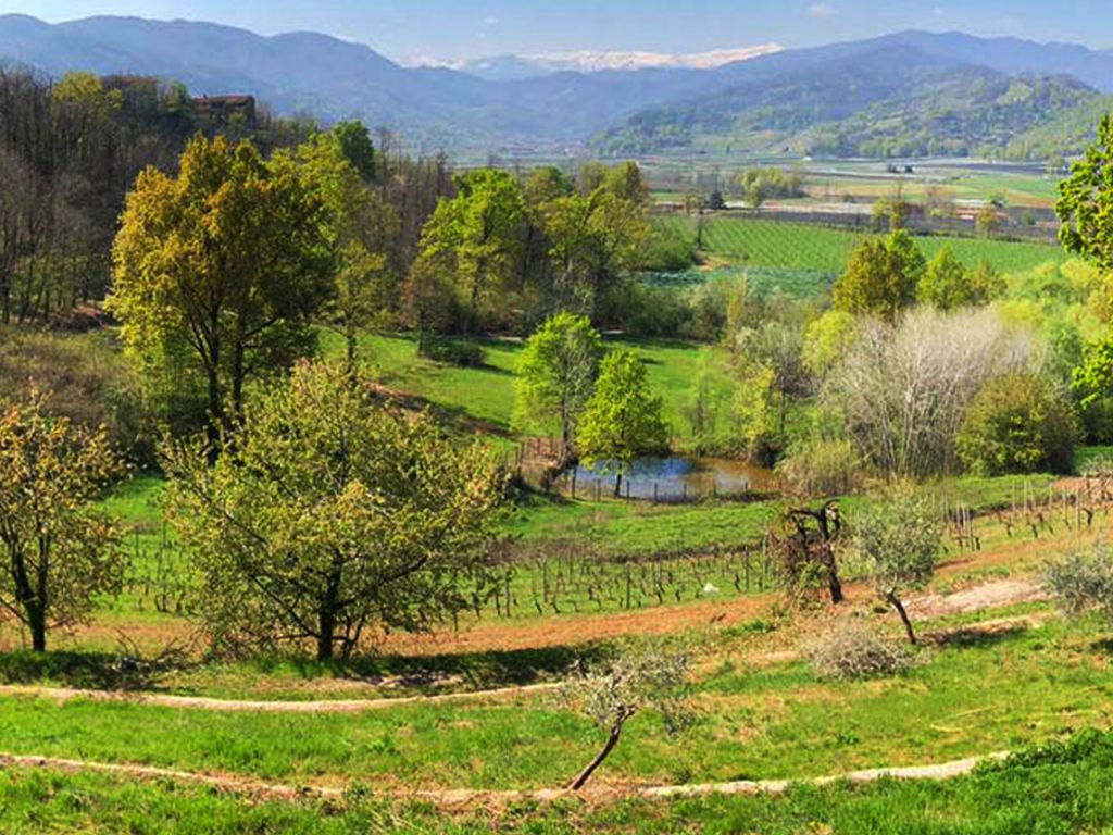 Exclusive country house for sale in Cuneo, Piedmont 117509623