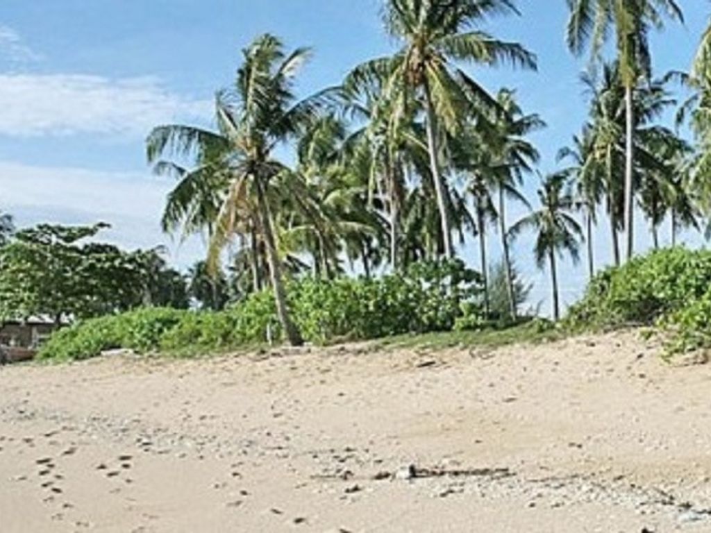 Baugel nde Von 40000 M2 Zu Verkaufen Koh Lanta Krabi Changwat Krabi 