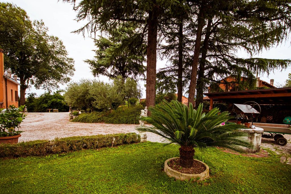 Château · Castle in Fonte Alto