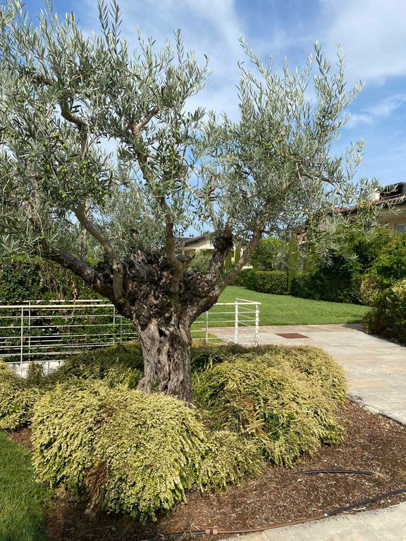 Appartamento – Sirmione - Vista 3