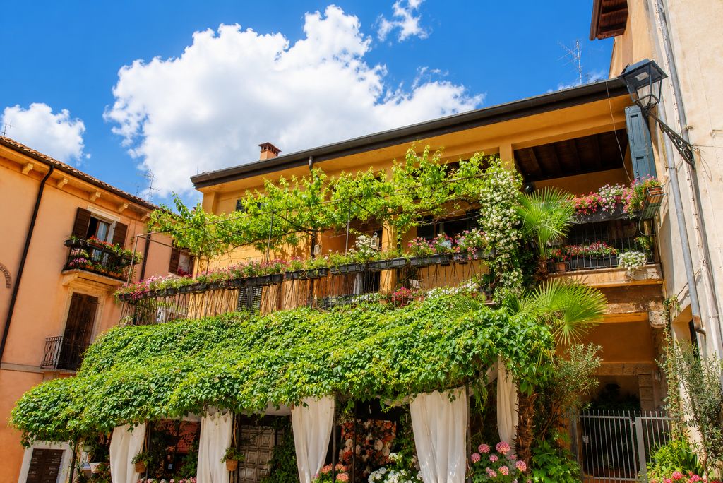 Appartamento – Verona - Vista 4