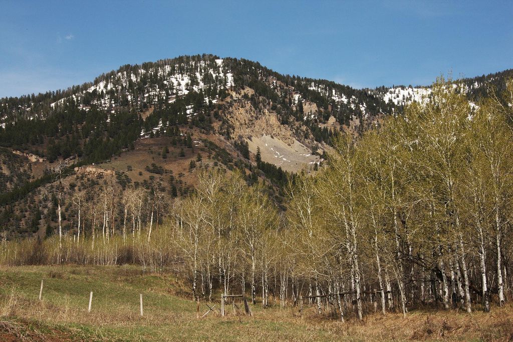 Terrain Etna, Wyoming 128117355