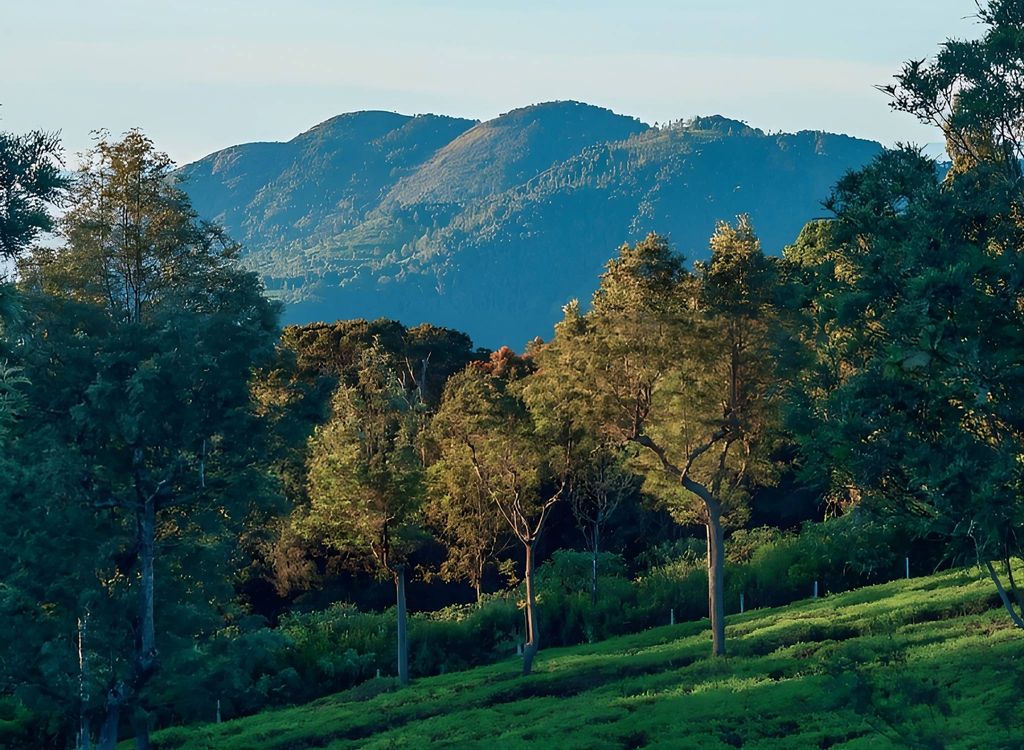 Земельный участок в продаже - Coonoor, Индия