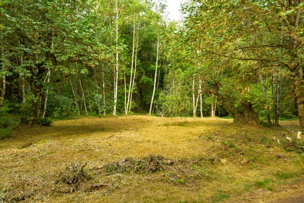 Brush Prairie, וושינגטון פיתוח קרקע ב 128093245