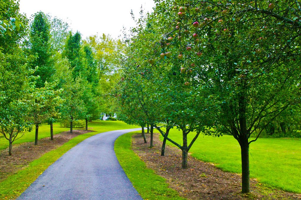 New Milford, Connecticut luksusowy dom jednorodzinny 129154668