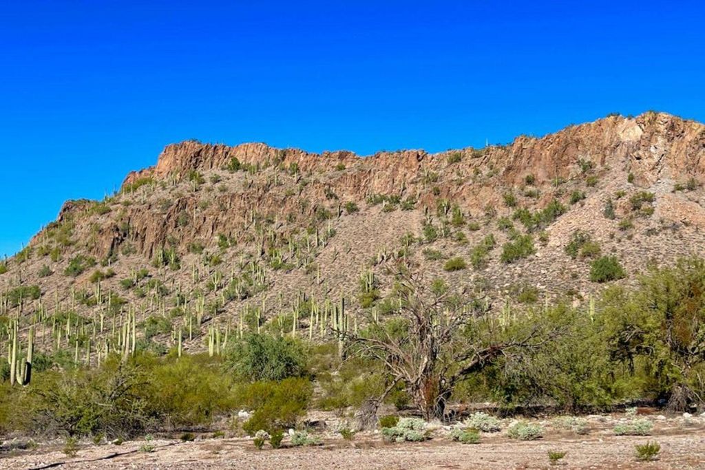 Terrain New River, Arizona 128228608