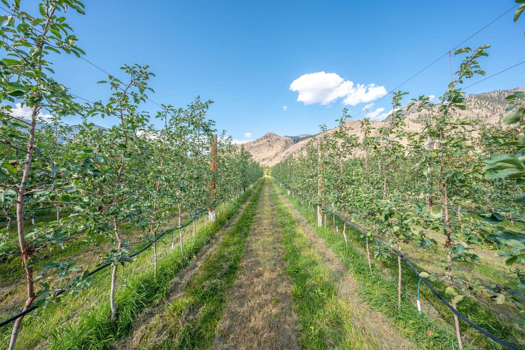 3 bedroom exclusive country house for sale in Keremeos, Canada