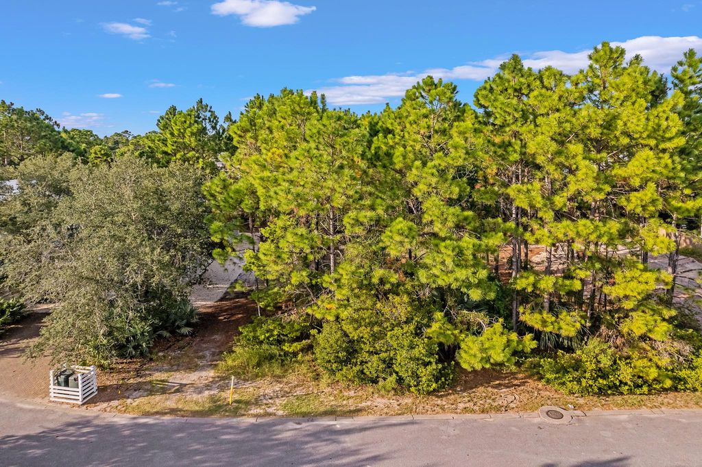 Terrain Santa Rosa Beach Florida 128069426 LuxuryEstate