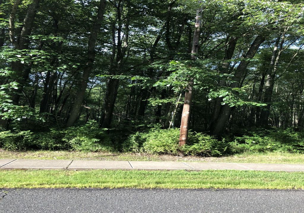 Luksusowa działka na sprzedaż Basking Ridge, Stany Zjednoczone 129436290