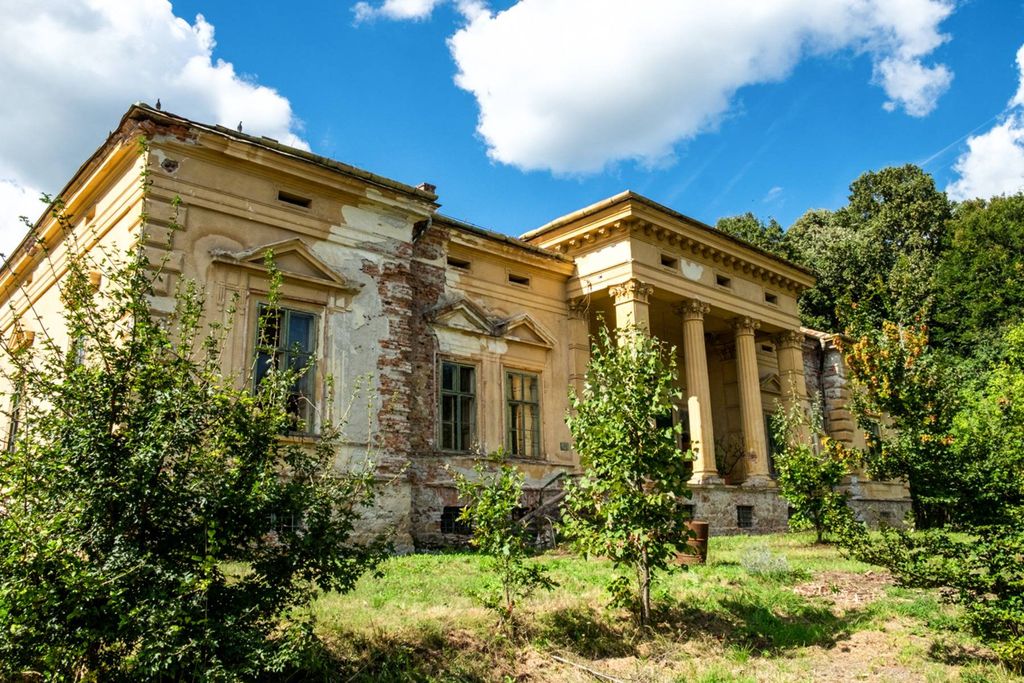 Château · Castle in Odvoș
