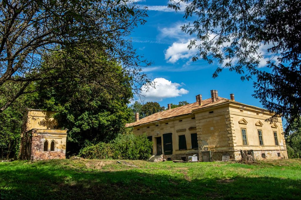 Château · Castle in Odvoș