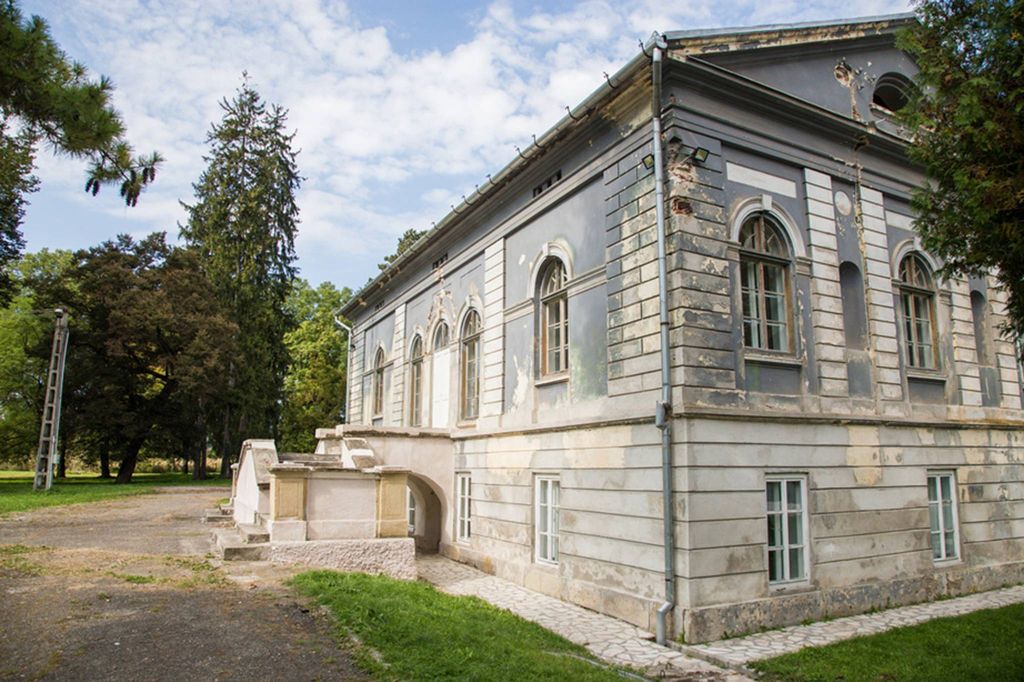 Château · Castle in Hunedoara