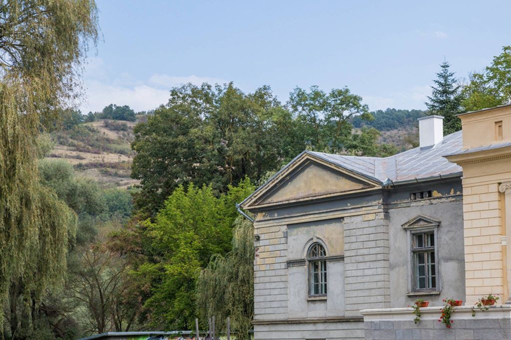 Château · Castle in Hunedoara