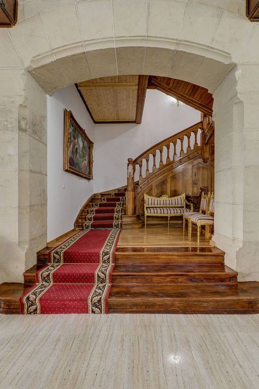 Château · Castle in Dărmăneşti